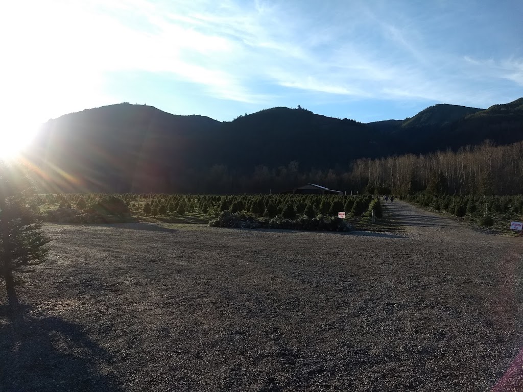 Alpine Meadows Tree Farm | 3585 Valley Hwy, Deming, WA 98244, USA | Phone: (360) 595-1019
