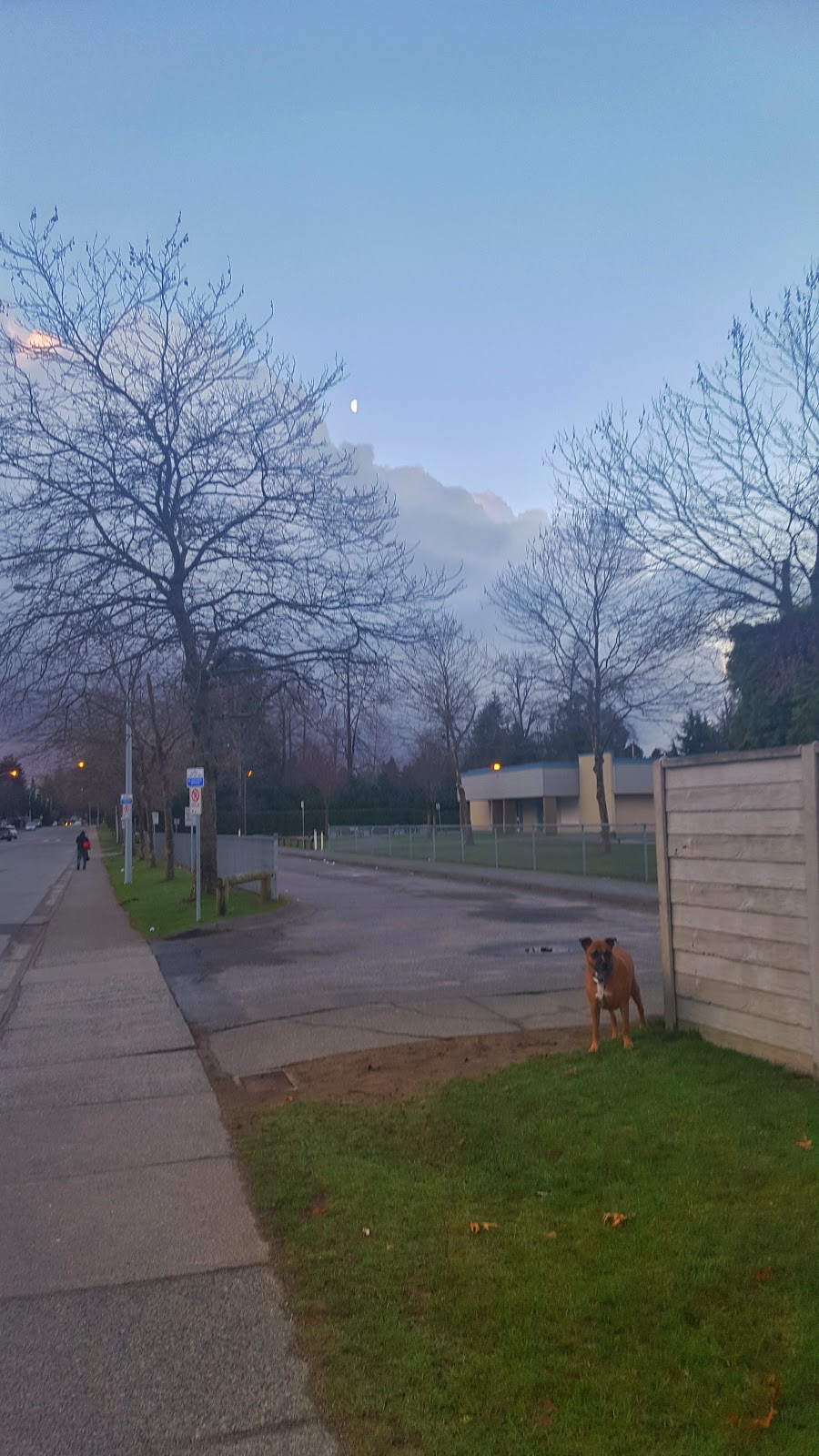 Kennedy Trail Park | Surrey, BC V3W 3E5, Canada | Phone: (604) 591-4011