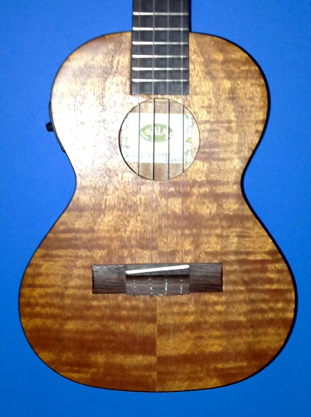 Guitar Lessons Basse À Terrebonne: Maryse Leclerc - Professeure. | 3486 Rue de Toscane, Terrebonne, QC J6X 3V1, Canada | Phone: (450) 471-3820