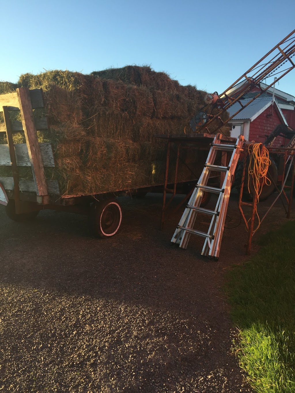 Millbrook Farms | 487 New Ross Rd, Windsor, NS B0N 2T0, Canada | Phone: (801) 631-2516