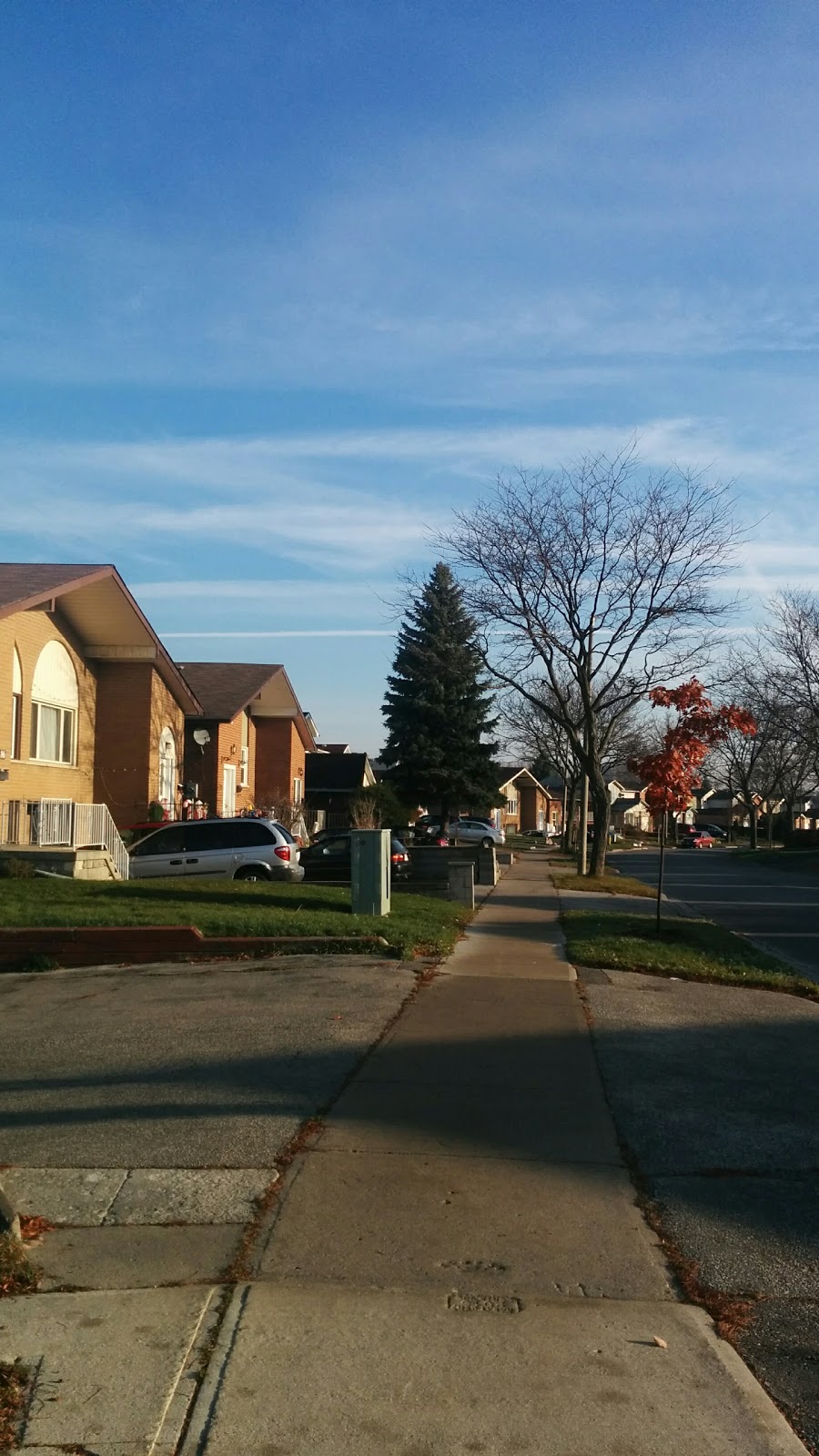 Pinetree Park | 55 Applemore Rd, Scarborough, ON M1B 1R7, Canada | Phone: (416) 338-4386