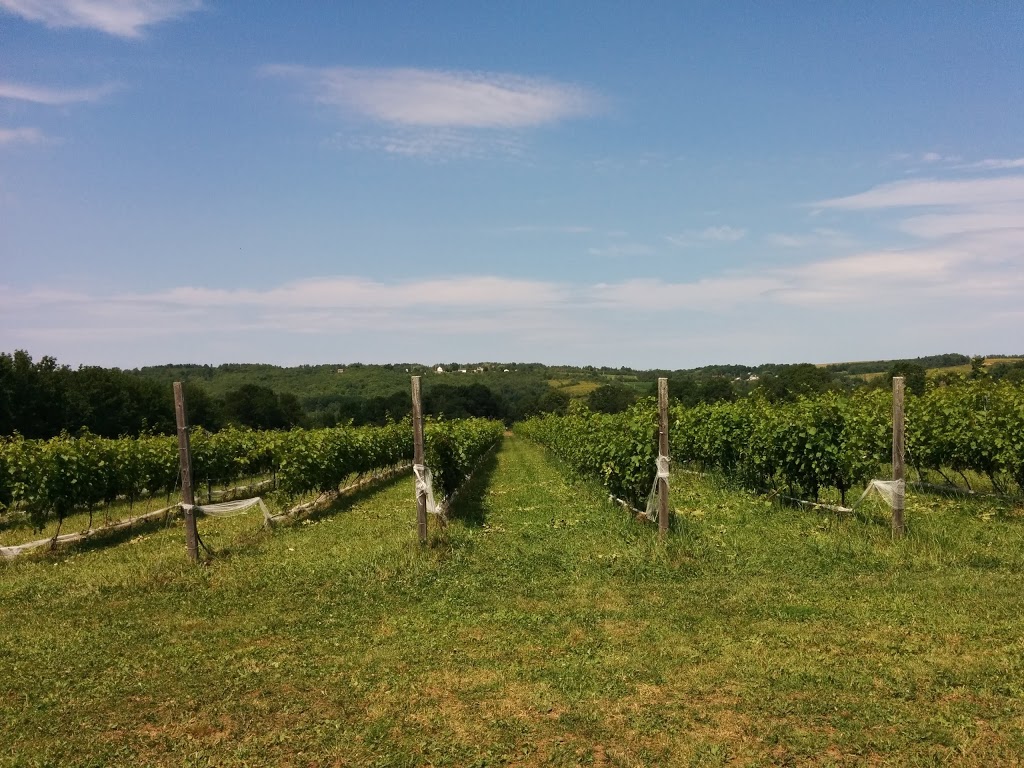 LAcadie Vineyards | 310 Slayter Rd, Gaspereau, RR1, Wolfville, NS B4P 2R1, Canada | Phone: (902) 542-8463