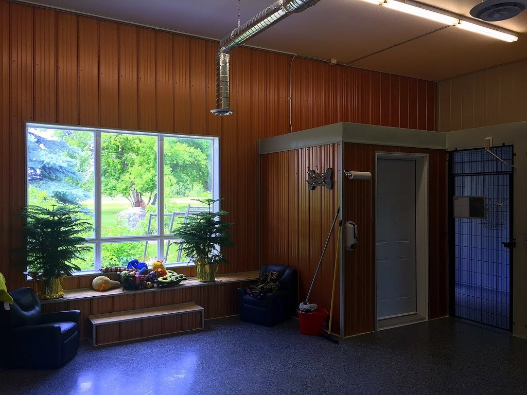 McBarn Kennels | 11135 Rd 25W, Morden, MB R6M 1A3, Canada | Phone: (204) 325-9011