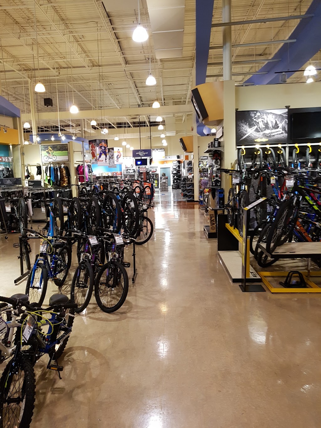 Sport Chek Winston Power Centre | 2460 Winston Churchill Blvd Unit 2, Oakville, ON L6J 4Z2, Canada | Phone: (905) 829-4721
