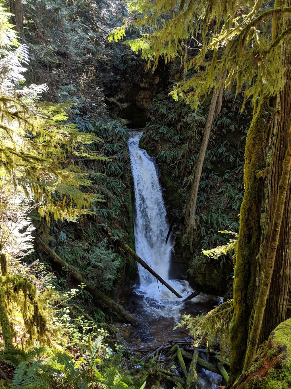 Burnett Falls Park | 5332 Burnett Rd, Sechelt, BC V0N 3A4, Canada