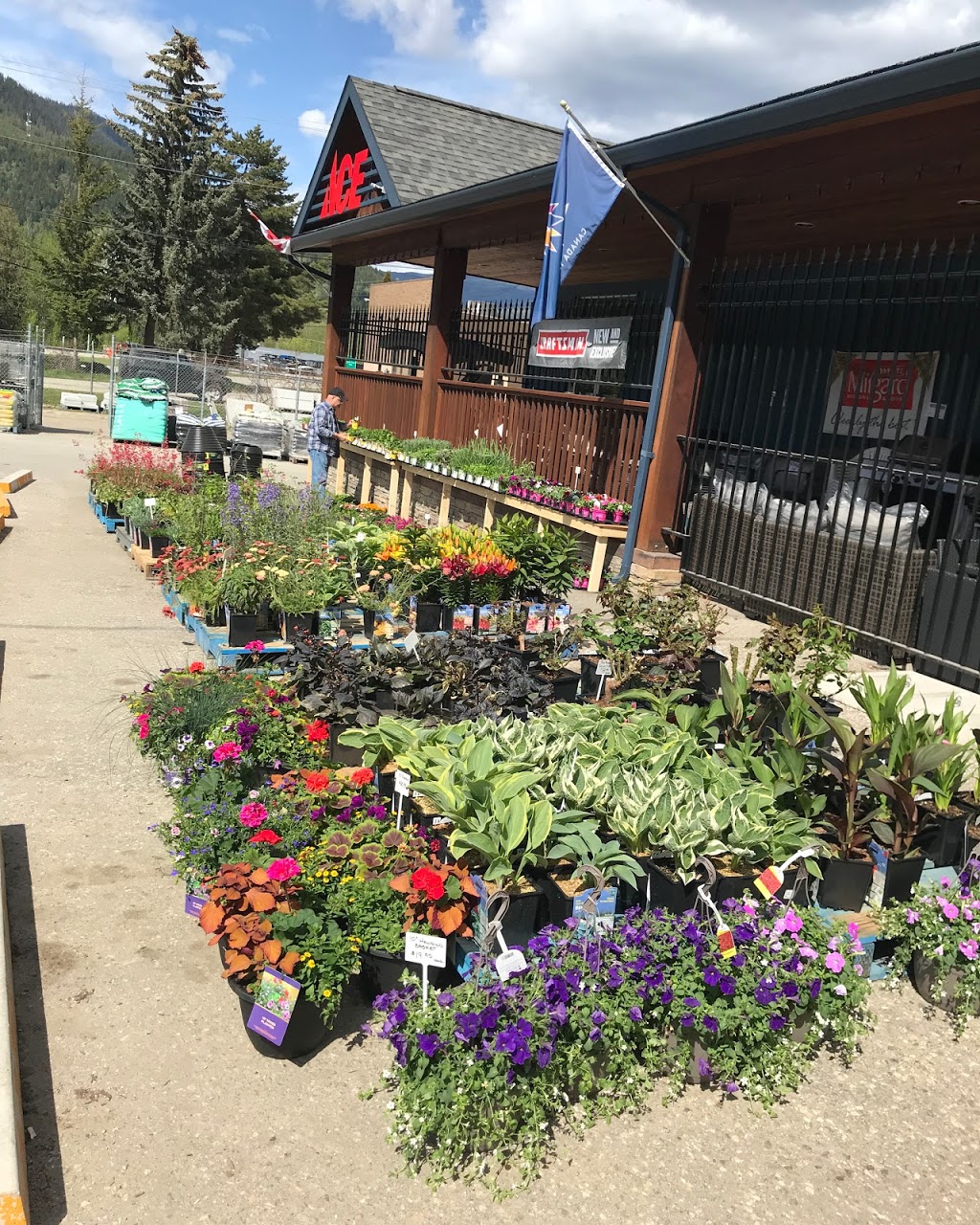Parkland Ace Building Centre | Box 159, 1125 Eagle Pass Way, Sicamous, BC V0E 2V0, Canada | Phone: (250) 836-2514