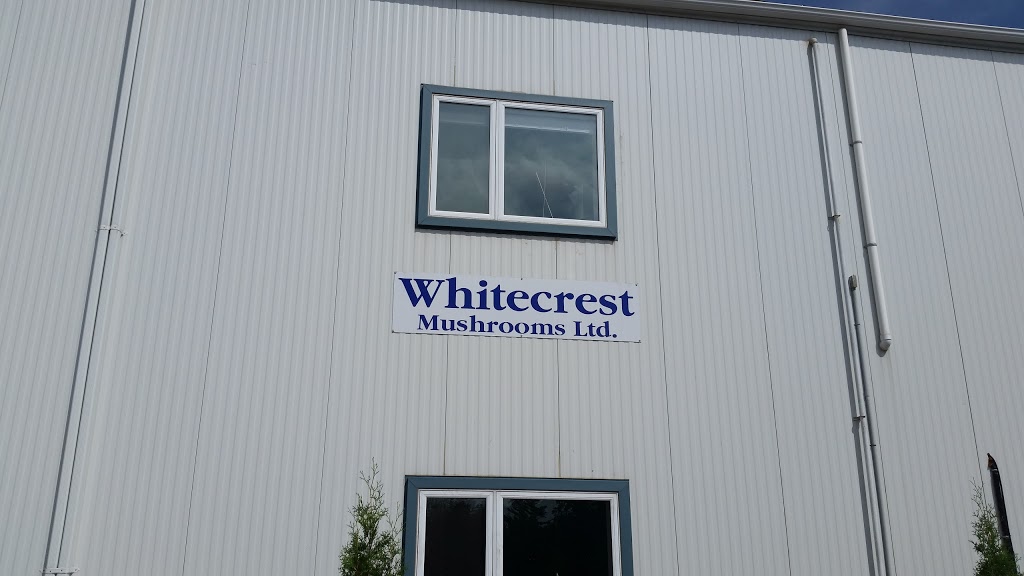 Whitecrest Mushrooms Ltd | 2899 Cromarty Dr, Putnam, ON N0L 2B0, Canada | Phone: (519) 269-3534