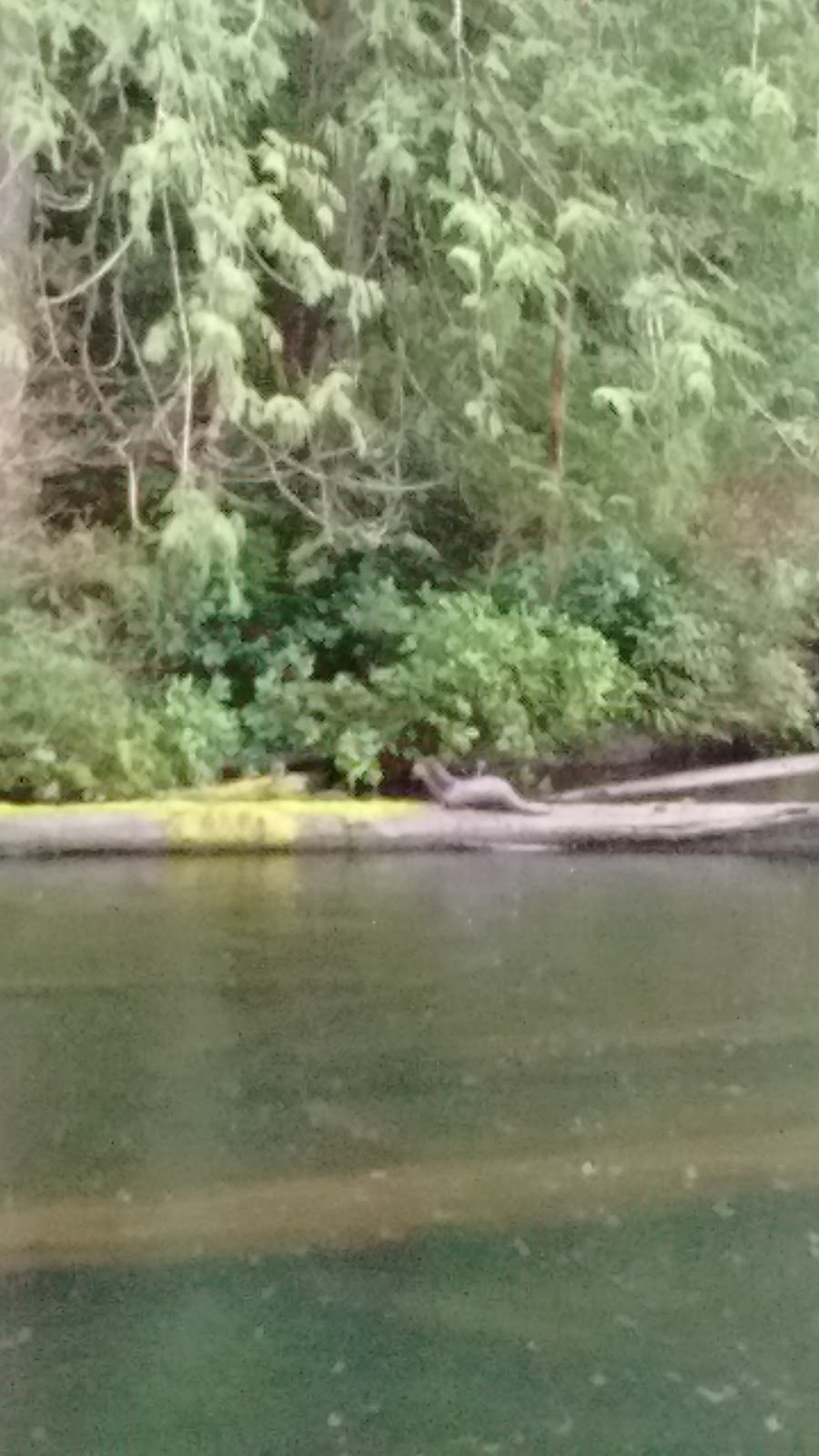 Westwood Lake R V Camping & Cabins | 380 Westwood Road, Nanaimo, BC V9R 6S5, Canada | Phone: (250) 753-3922