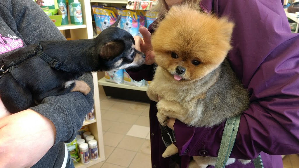Laura Janes Pet Food & Supplies | 97 Dufferin St, Perth, ON K7H 3A5, Canada | Phone: (613) 466-0644