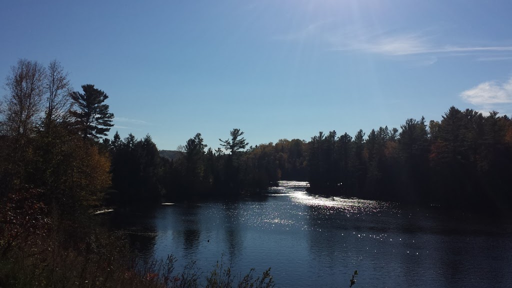 Chalet Riviere la lievre | 119 Chemin St Amour, Notre-Dame-du-Laus, QC J0X 2M0, Canada | Phone: (819) 454-2315