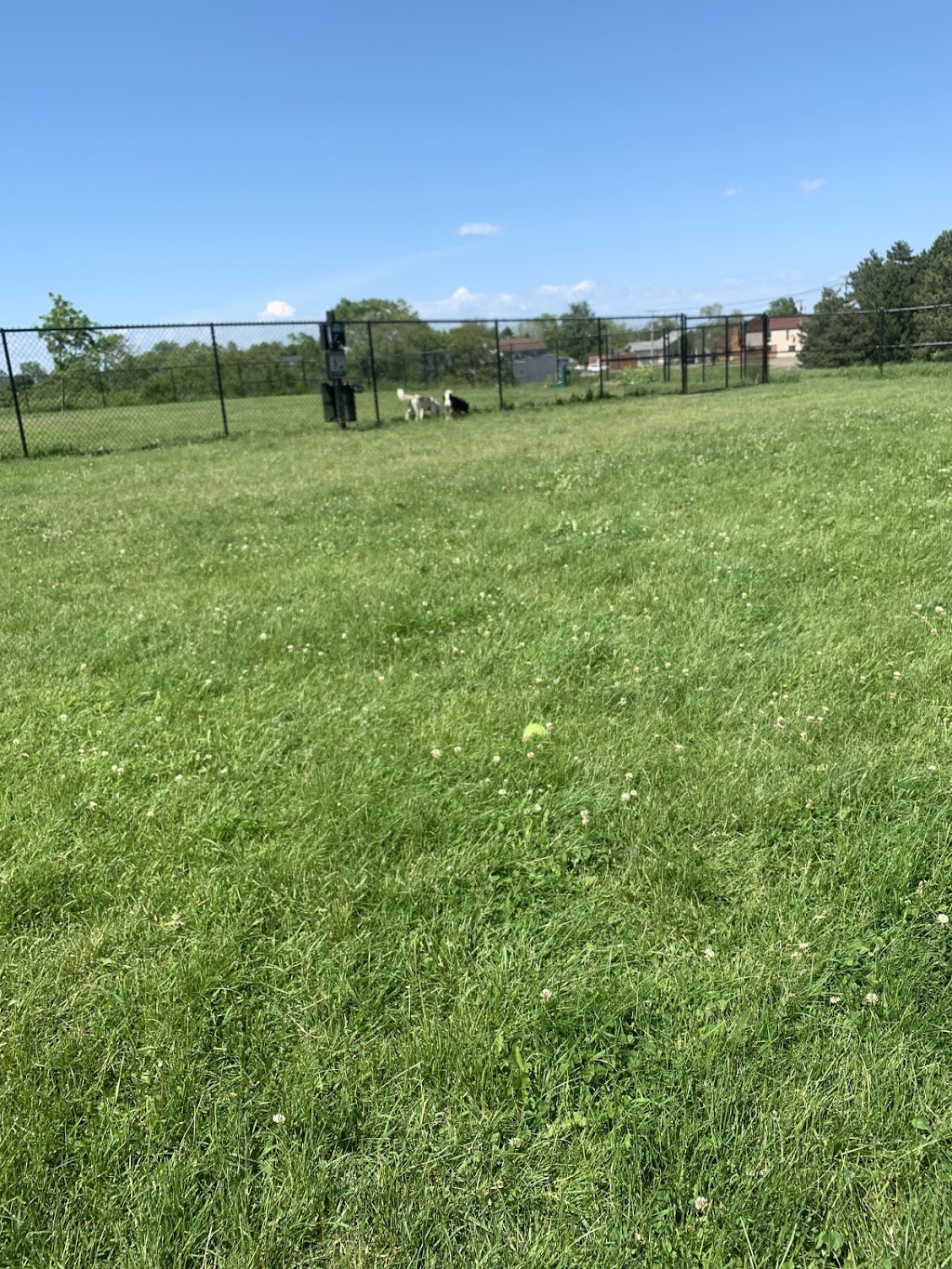 Lewiston Dog Park | Lewiston, NY 14092, USA | Phone: (716) 754-7766