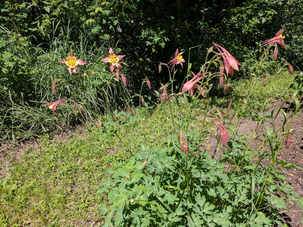 George Pegg Botanic Garden | 56015 Range Rd 43, Glenevis, AB T0E 0X0, Canada | Phone: (780) 203-0331
