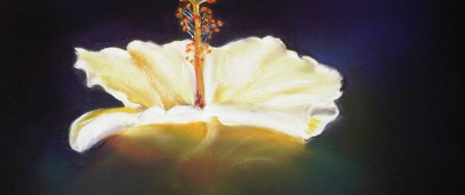 The Untamed Garden Studio | 8561 Bradner Rd, Abbotsford, BC V4X 2H5, Canada | Phone: (778) 552-3037
