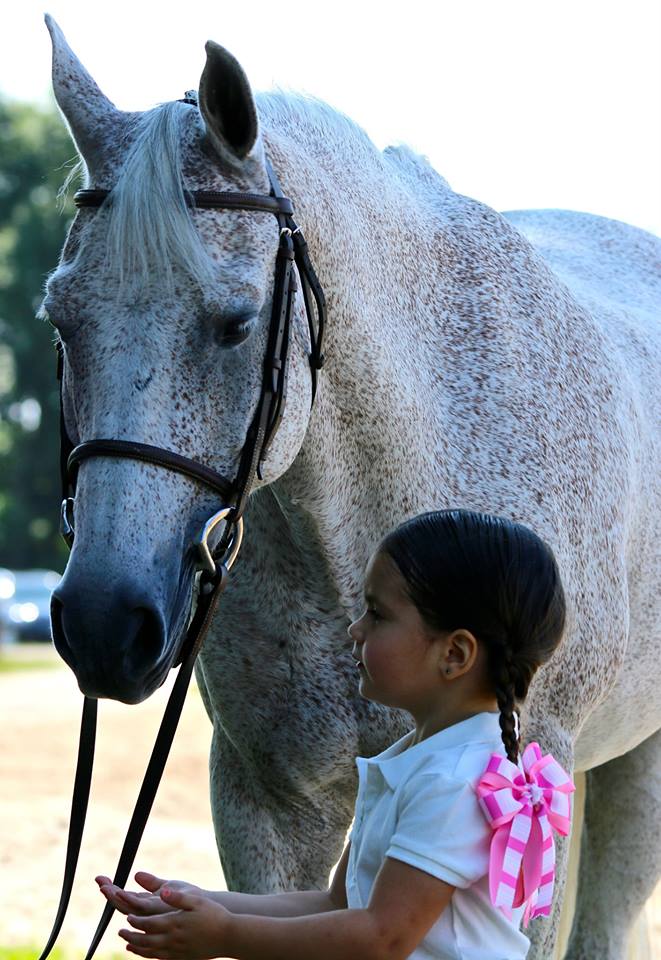 Stonewood Riding Academy | 3985 Sideline 16 Rd, Claremont, ON L1Y 1A2, Canada | Phone: (905) 408-1000