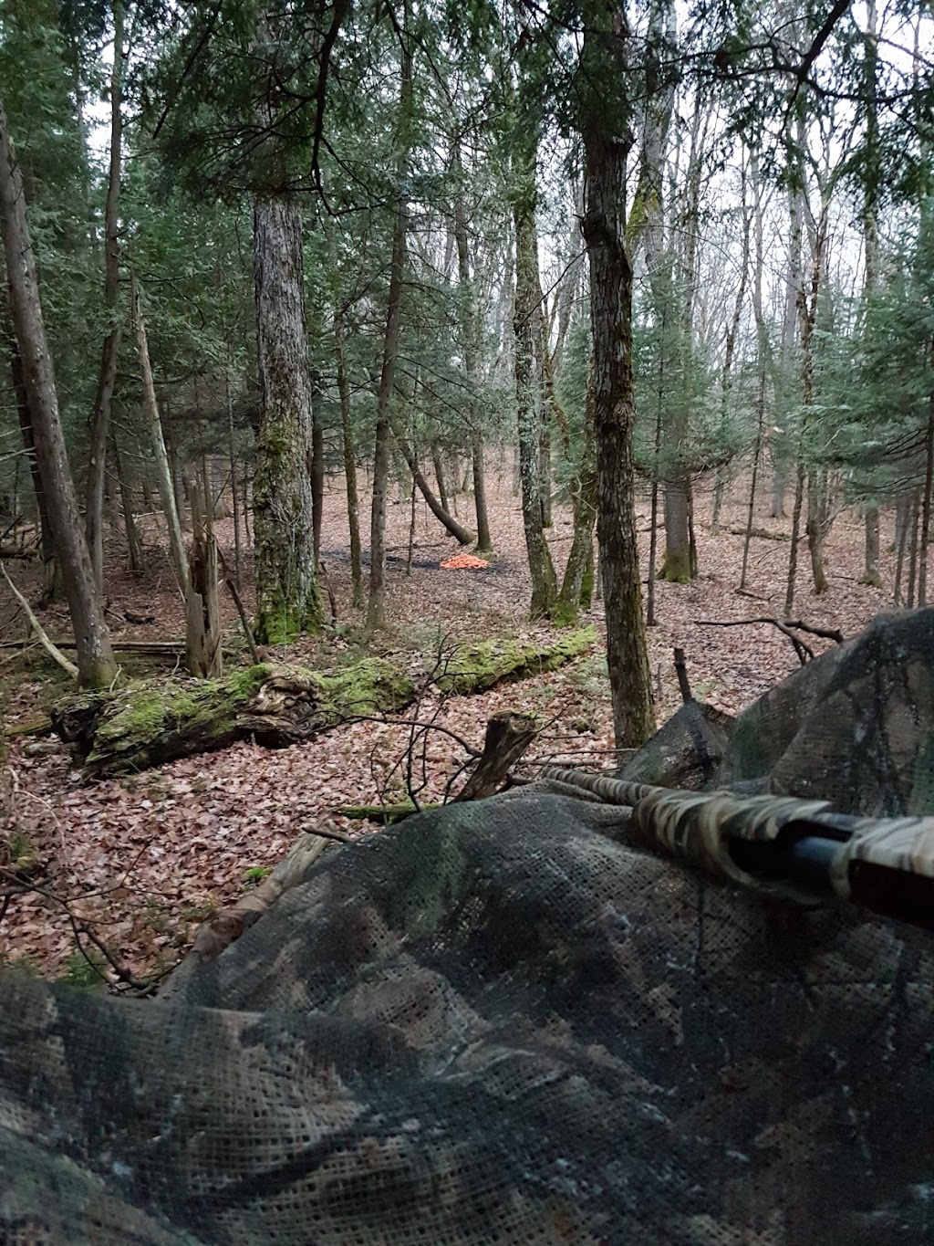 Clear Lake Farm | 2245 Ahmic Lake Rd, Magnetawan, ON P0A 1P0, Canada | Phone: (705) 387-4464