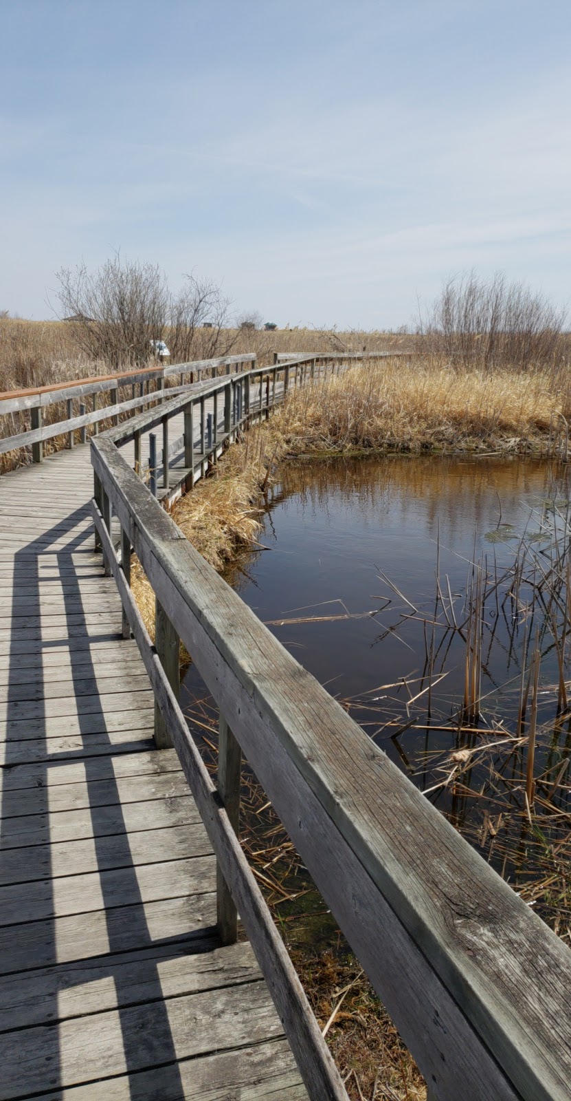 Oak Hammock Marsh Interpretive Centre | 1 Snow Goose Bay, Stonewall, MB R0C 2Z0, Canada | Phone: (204) 467-3300
