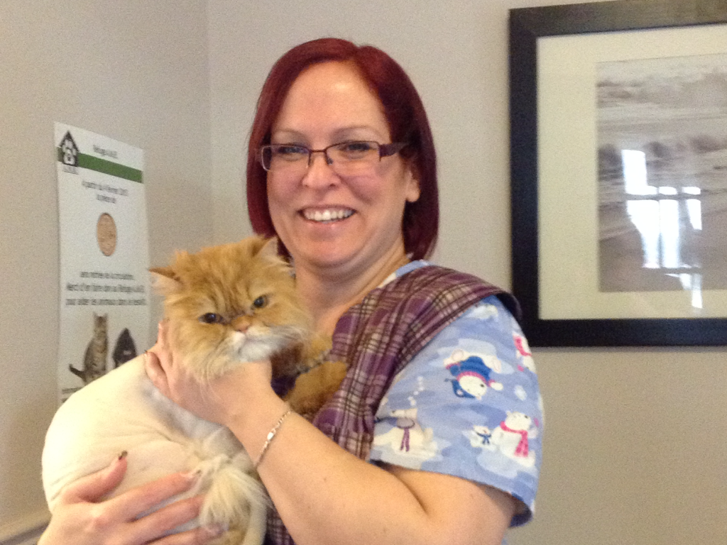 Toilettage Betes et Poils | 53 Rue St Pierre Local 101, Saint-Constant, QC J5A 1B9, Canada | Phone: (514) 710-2868
