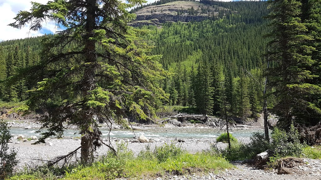 Sheep River Falls | Sheep River Rd, Turner Valley, AB T0L 2A0, Canada | Phone: (403) 949-4261