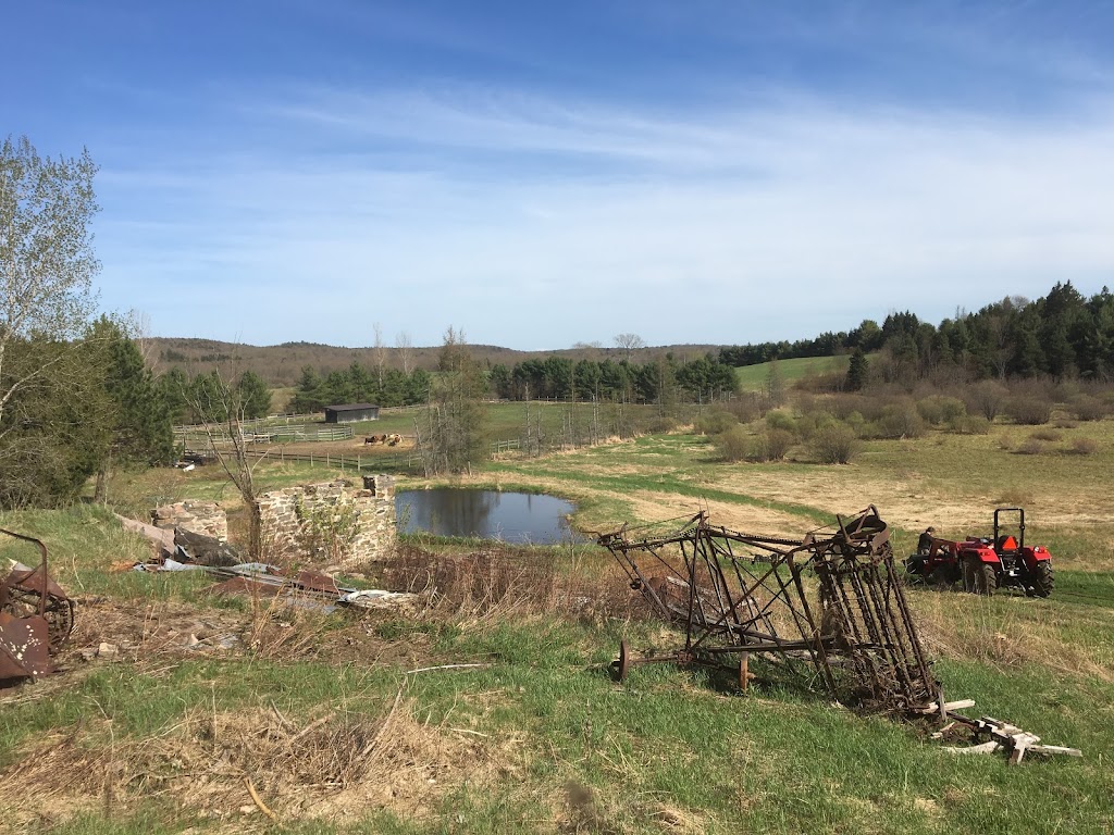 Circle DM Ranch | 1690 Beatrice Townline Rd, Bracebridge, ON P1L 1X4, Canada | Phone: (705) 571-1986