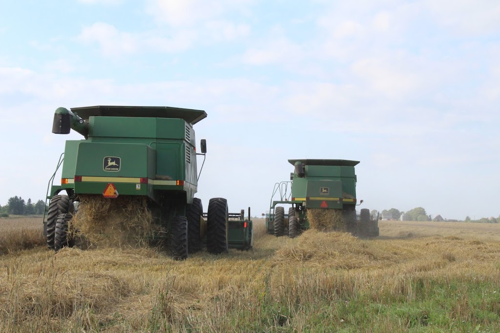 Smallman Farms Ltd | 3111 OLeary Rd, OLeary, PE C0B 1V0, Canada | Phone: (902) 214-4441