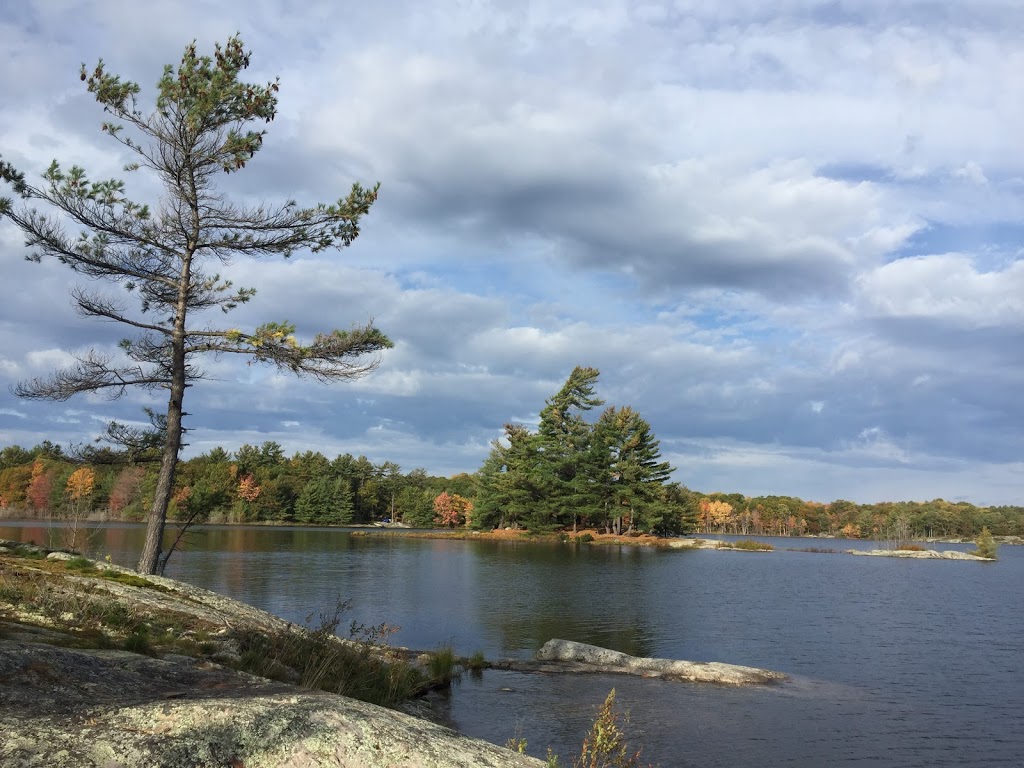 Petes Place Access Point | 380 Oastler Park Dr, Parry Sound, ON P2A 2W8, Canada | Phone: (705) 378-2401