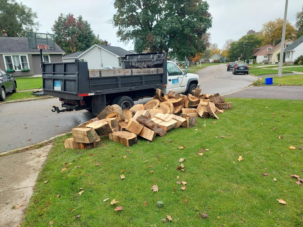 Branching Out Tree Services | 10 Pochon Ave, Port Hope, ON L1A 2X9, Canada | Phone: (905) 269-1673