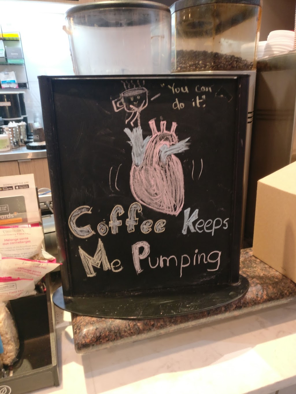 Second Cup | 30 The Queensway, Toronto, ON M6R 1B5, Canada | Phone: (416) 530-6091