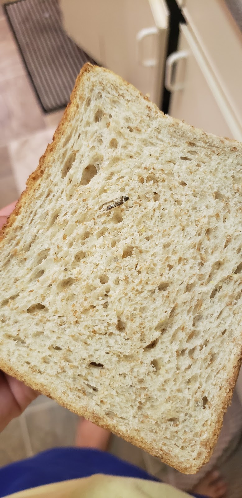 Loriz Bakery Edmonton | 8432 182 St NW, Edmonton, AB T5T 1Y7, Canada | Phone: (780) 487-0388