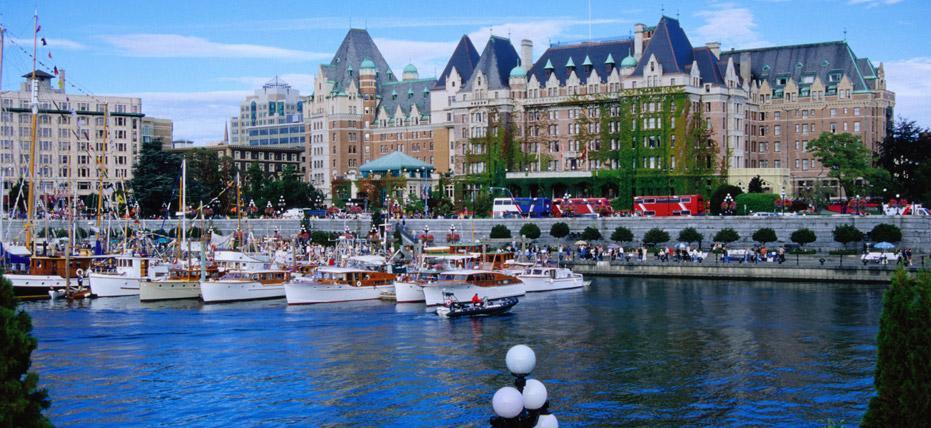 arbutus tree service victoria | 2815 Wyndeatt Ave, Victoria, BC V9A 2L7, Canada | Phone: (250) 883-1020