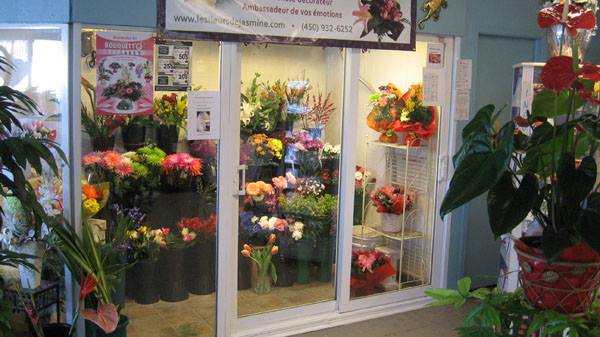 Fleurs De Jasmine (Les) | 332 Boulevard Notre-Dame-des-Champs #3, Repentigny, QC J6A 3B7, Canada | Phone: (450) 932-6252