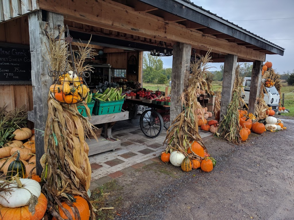 Willow Creek Farms | 1442 Frankford Rd, Frankford, ON K0K 2C0, Canada | Phone: (613) 967-0882