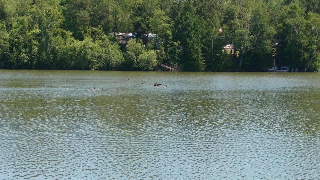 New Lowell Campground & Conservation Park Ltd. | 2894 Hogback Rd, New Lowell, ON L0M 1N0, Canada | Phone: (705) 424-2942