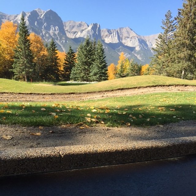 CurbMaster Concrete and Landscape | 1519 41 Ave SE, Calgary, AB T2G 1X7, Canada | Phone: (403) 240-2526