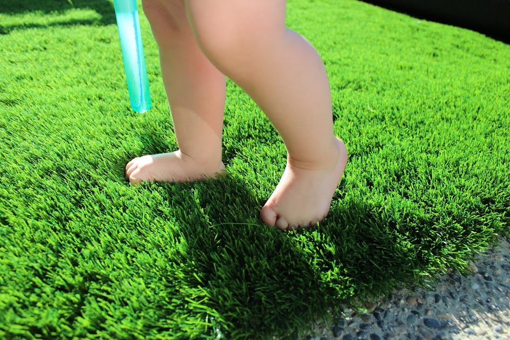 Premium Grass Blades | 20285 Stewart Crescent Unit 102, Maple Ridge, BC V2X 8G1, Canada | Phone: (604) 757-2899