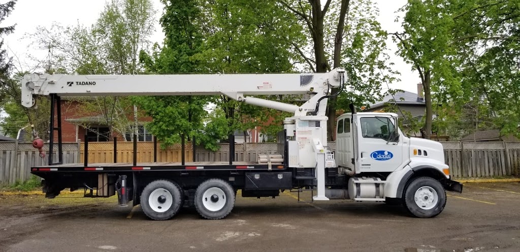 Colonial Tree Service | 36 Armstrong Ave, Georgetown, ON L7G 4R9, Canada | Phone: (905) 877-8591