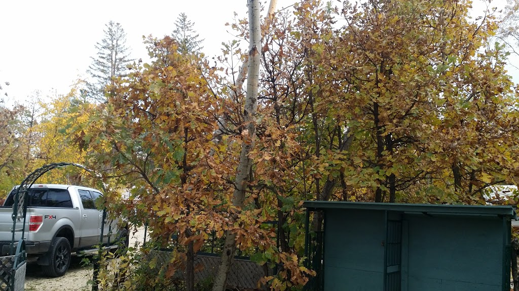 Great Woods | 73033 Rd 43E, Beausejour, MB R0E 0C0, Canada | Phone: (204) 268-2814