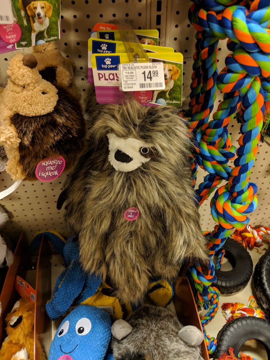 PetSmart | 13916 137 Ave NW, Edmonton, AB T5L 5H1, Canada | Phone: (780) 406-0827