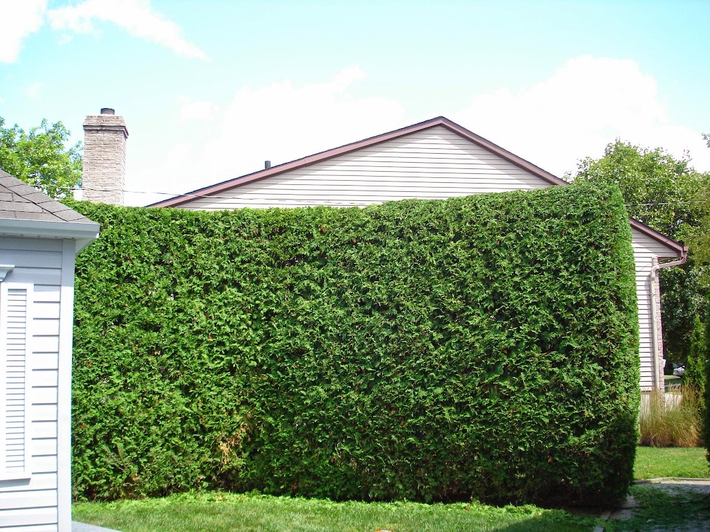 Concept Paysager Dubois | 253 , 60 avenue sud, Deux-Montagnes, QC J0N 1M0, Canada | Phone: (514) 707-0411