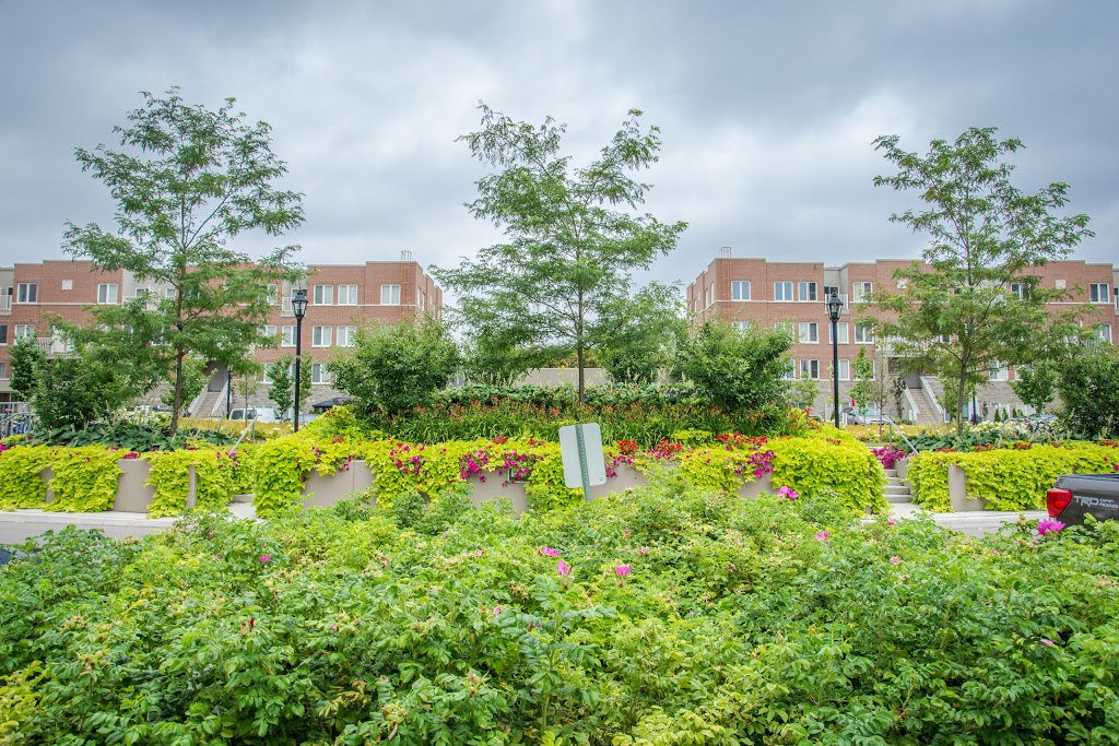 Richgrove Drive | 21 Richgrove Dr, Etobicoke, ON M9R 2L2, Canada | Phone: (647) 475-6107
