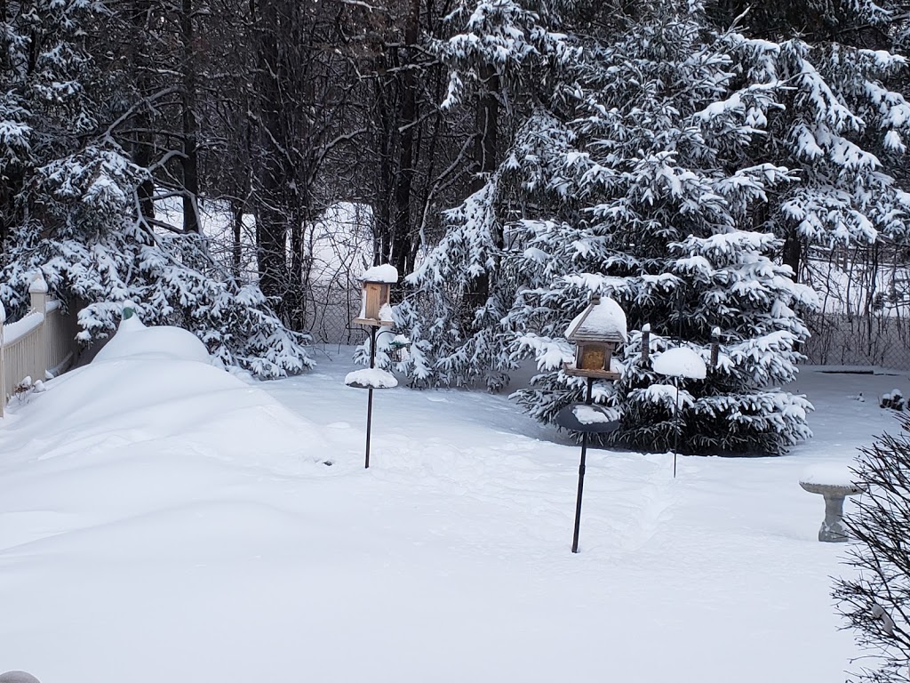 Anderson House Bed & Breakfast | 120 Columbus Rd W, Oshawa, ON L1H 0G6, Canada | Phone: (905) 655-5264