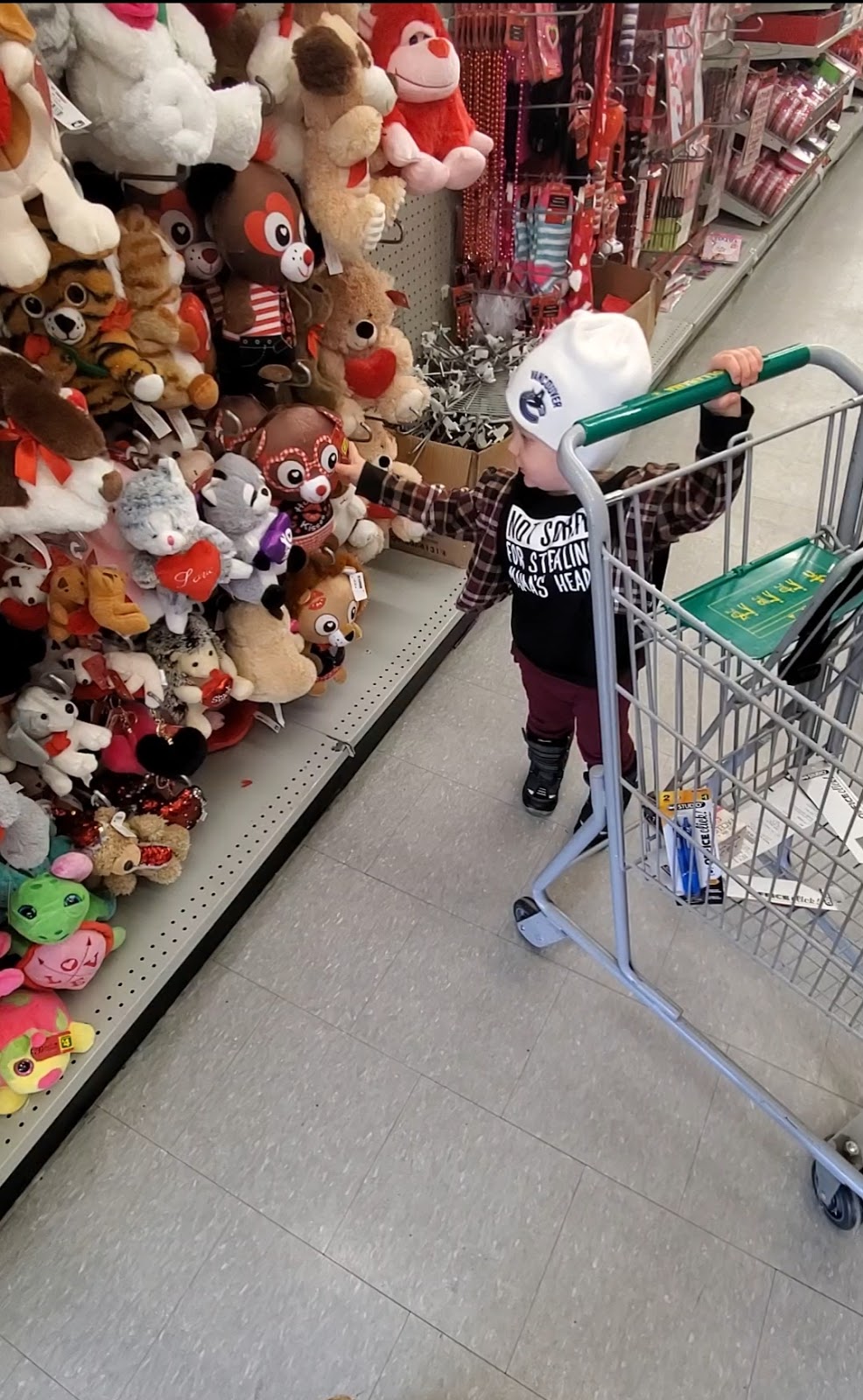 Dollarama | Trenant Park, 5265 Ladner Trunk Rd, Delta, BC V4K 1W4, Canada | Phone: (604) 940-3802