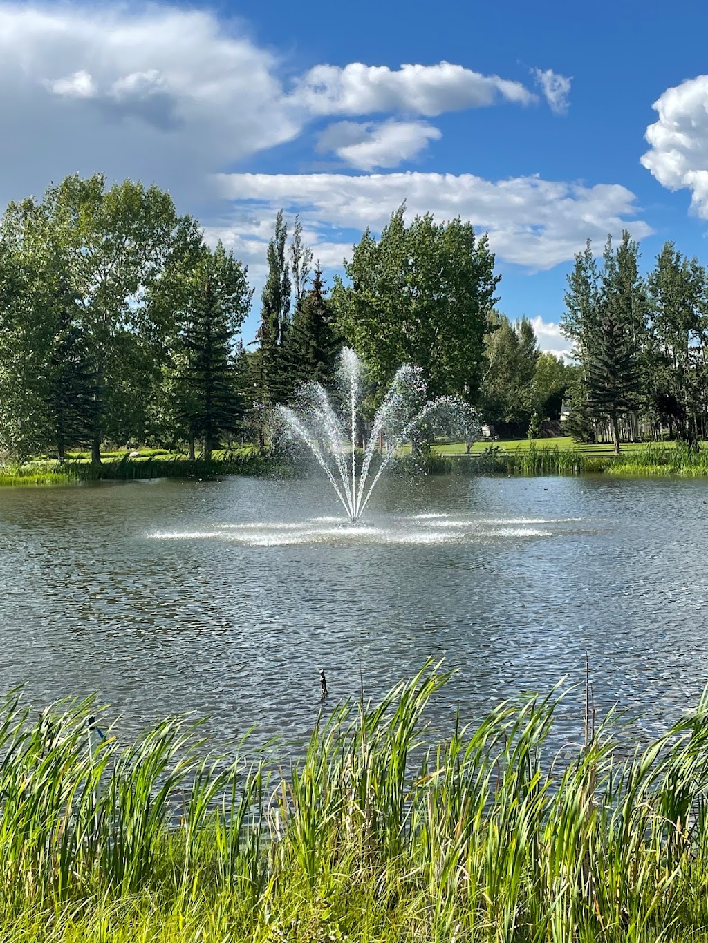 Drayton Valley Thunder | 5737 45 Ave, Drayton Valley, AB T7A 1R3, Canada | Phone: (780) 542-7845