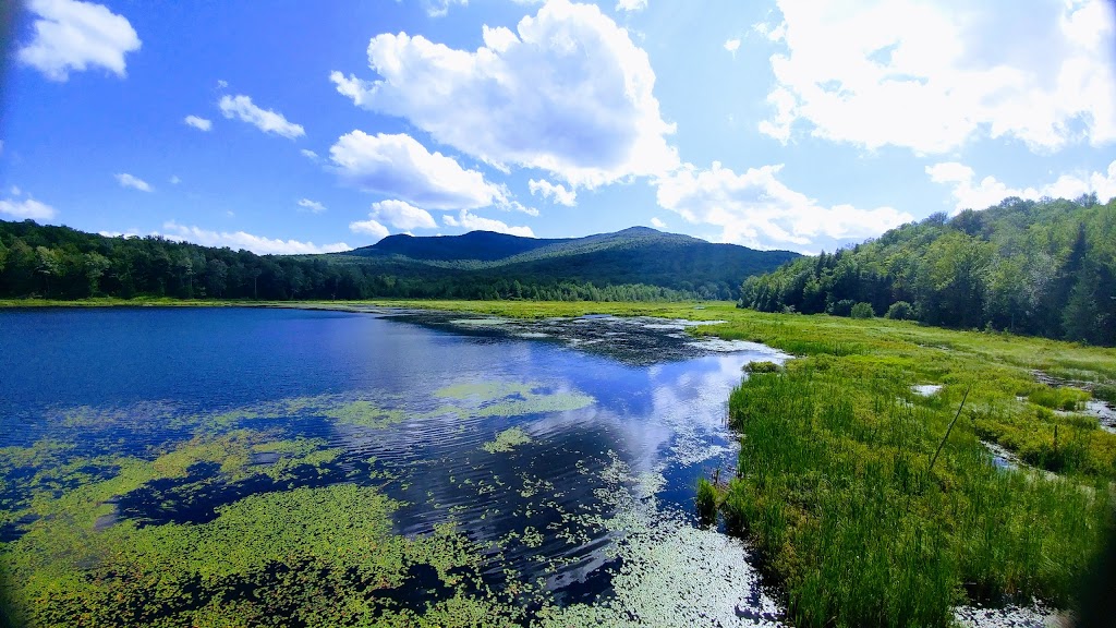 Mont-Orford National Park | 3321 Chemin du Parc, Orford, QC J1X 7A2, Canada | Phone: (800) 665-6527