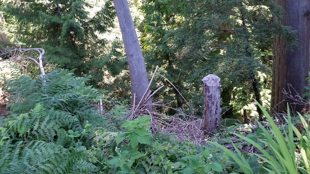 Nature Hideaway | 506 Maple St, Gibsons, BC V0N 1V5, Canada | Phone: (604) 897-8990