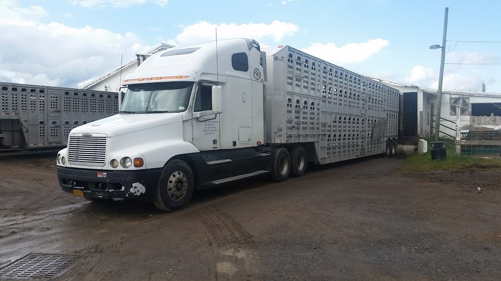 Morse Livestock Hauling | 4165 NY-310, Norfolk, NY 13667, USA | Phone: (315) 244-0739
