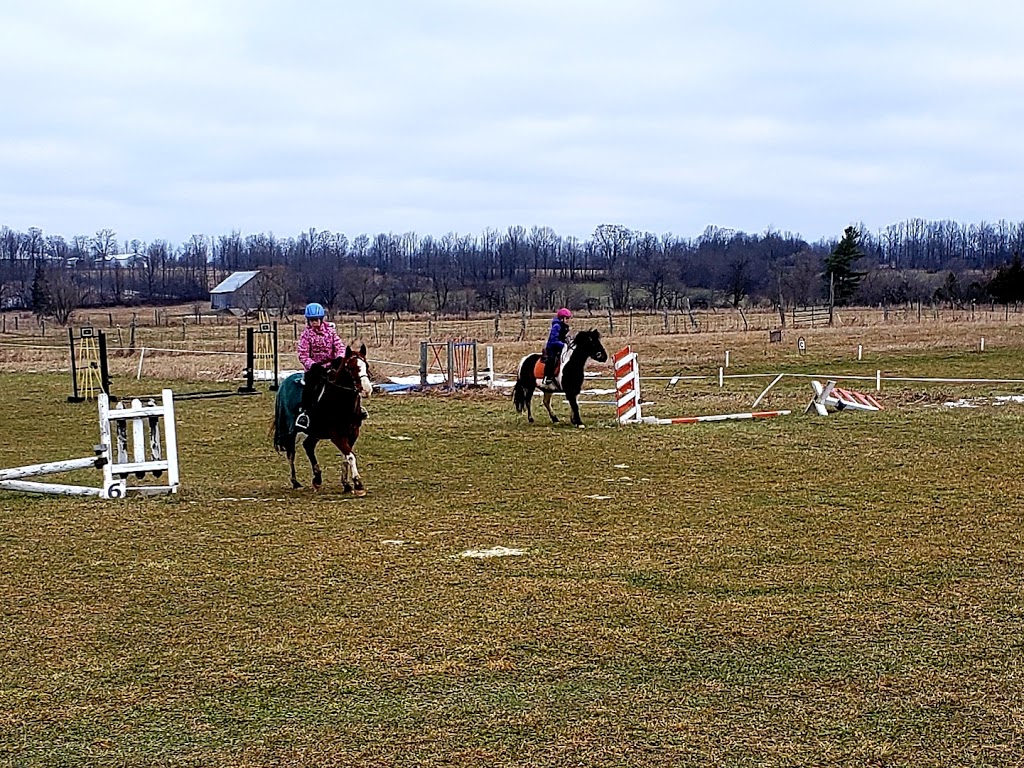 Cedarstone Farm | Durham, ON N0G 1R0, Canada | Phone: (519) 369-5971