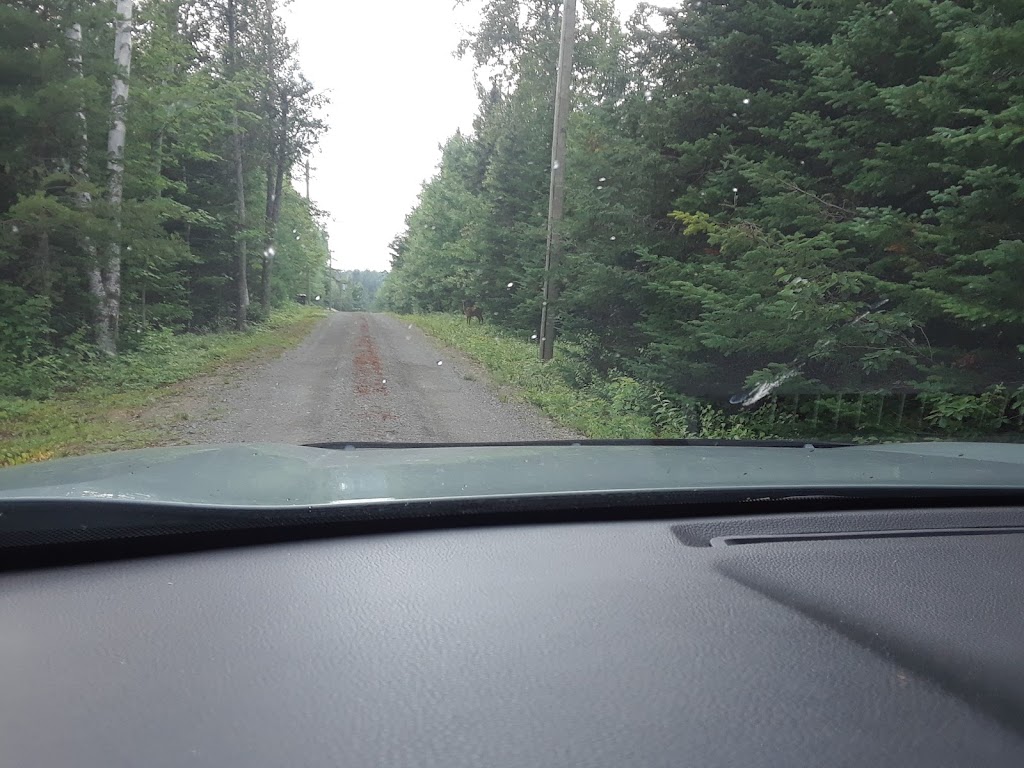 Camping Eau Ti-Bonheur | 740 Chem. St Charles S, Paroisse de Saint-Charles, NB E4W 4X7, Canada | Phone: (506) 850-4590