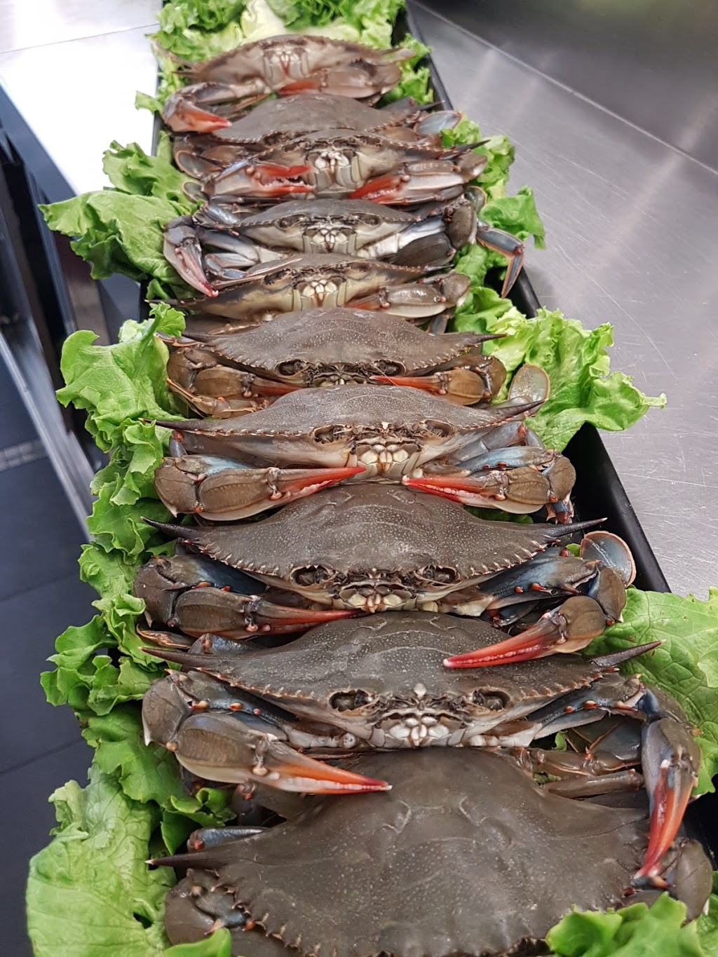 Pisces Gourmet Seafood Specialty Shop | 1097 Yonge St, Toronto, ON M4W 2L7, Canada | Phone: (416) 921-8888