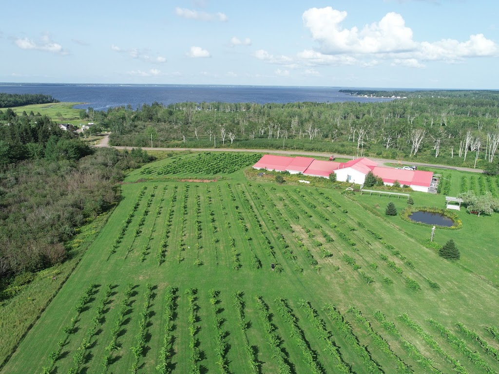 Winegarden Estate Ltd | 851, NB-970, Baie Verte, NB E4M 1Z7, Canada | Phone: (506) 538-7405