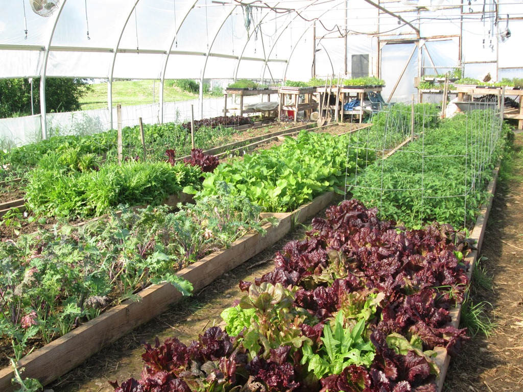 Cochrane Family Farm | 5324 NS-289, Upper Stewiacke, NS B0N 2P0, Canada | Phone: (902) 671-2378